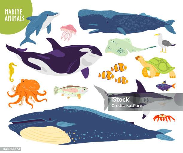 Vector Set Of Flat Hand Drawn Cute Marine Animals Whale Dolphin Fish Shark Jellyfish Underwater Wildlife Stock Illustration - Download Image Now