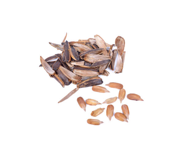 istock Healthy sun-flower seeds on a white background 1133985856