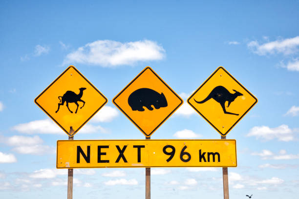 istock Australian Road Sign 1133988152
