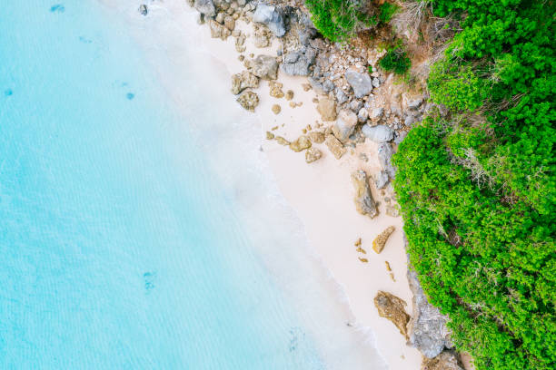 istock Bali - Melasti beach from above. Straight drone shot 1133990876
