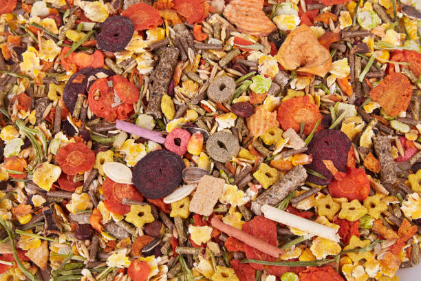 istock Food for rodents 1133992099