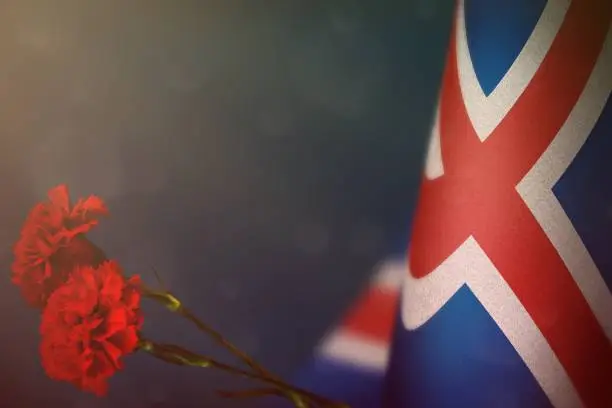 Photo of Iceland flag for honour of veterans or memorial day with two red carnation flowers. Glory to Iceland heroes of war concept on blue dark velvet.