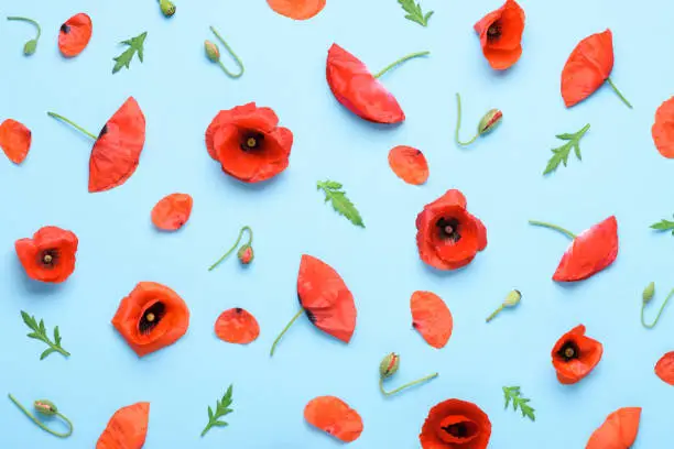 Photo of Poppy flowers pattern background