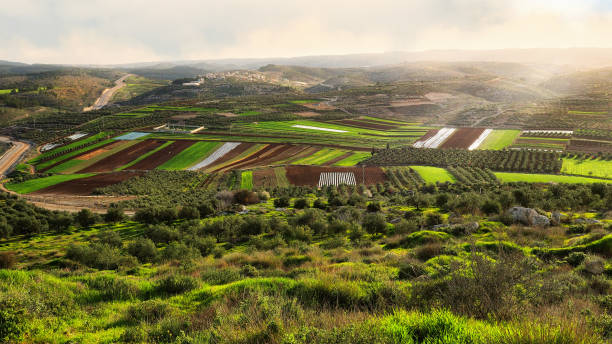 istock Morning fog over the fields 1133993991