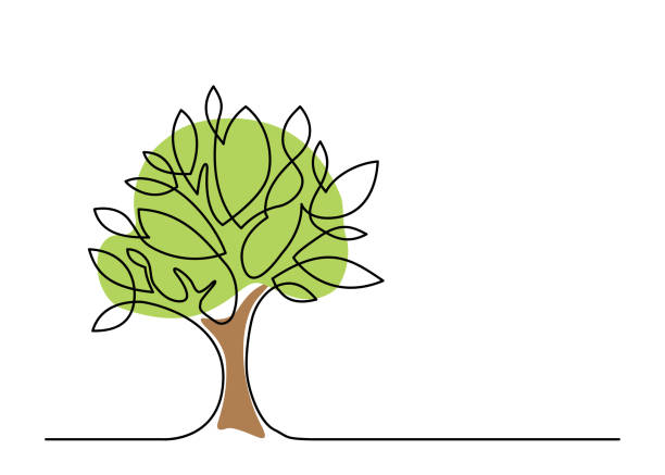 ilustraciones, imágenes clip art, dibujos animados e iconos de stock de árbol de una línea de color - zona arbolada