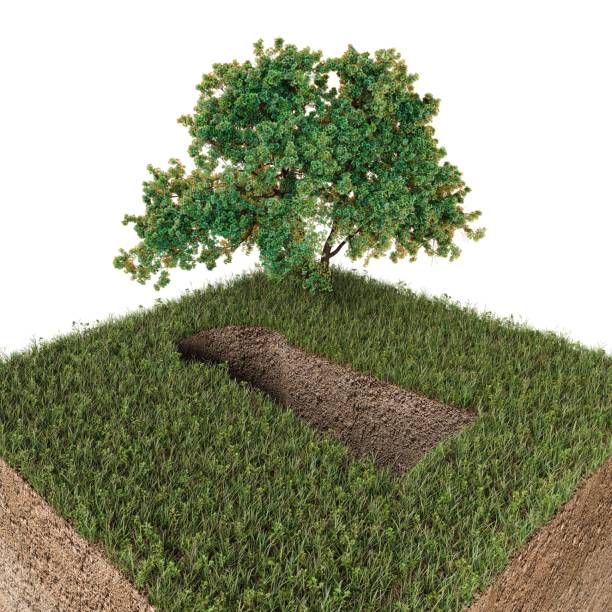 istock door look hole on green grass 1133995176