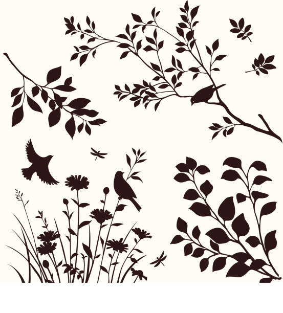illustrations, cliparts, dessins animés et icônes de ensemble d'éléments décoratifs de la nature. branches de silhouette d'arbre, de fleur et d'oiseaux. - tree set