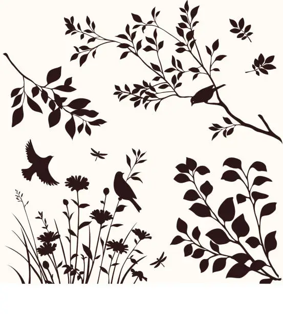 Vector illustration of Set of decorative nature elements. Branches of tree, flower and birds silhouette.