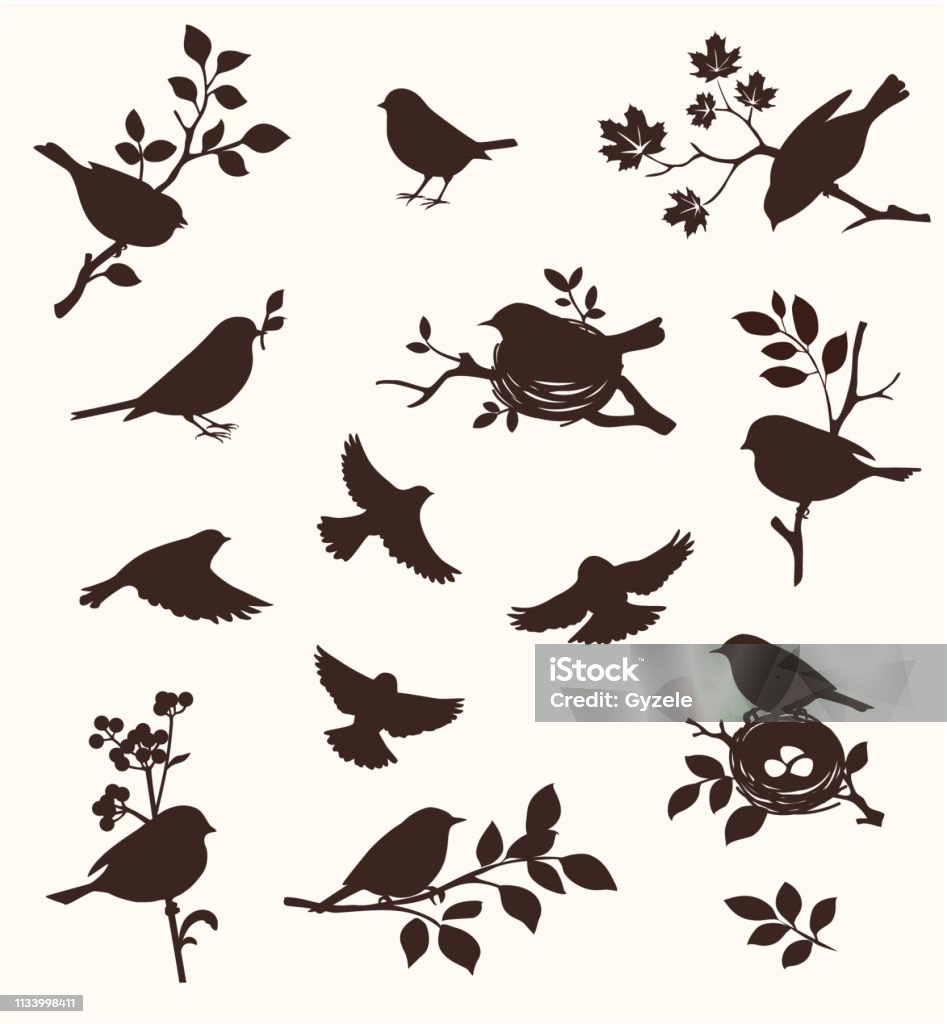 Decorative set of spring bird and twig silhouettes, flying birds and on the nest. Vector illustration Bird stock vector