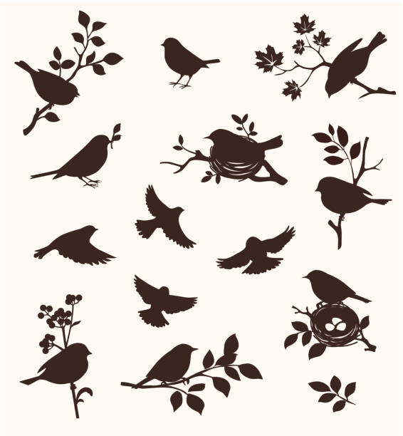 Decorative set of spring bird and twig silhouettes, flying birds and on the nest. Vector illustration egg silhouettes stock illustrations