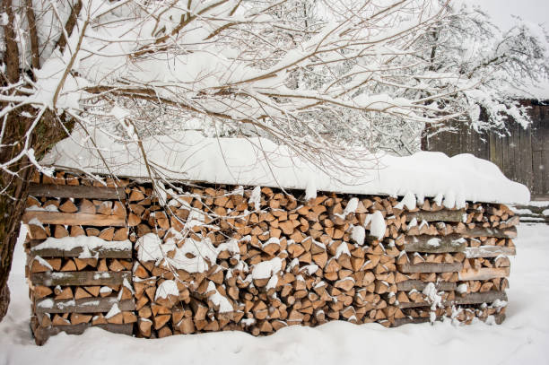 istock Pile of wood logs ready for winter 1133998466