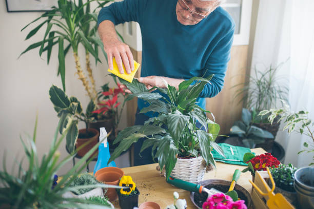 istock Senior man gardening 1134000300