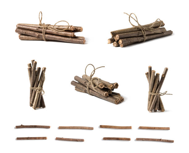 un conjunto de ramas de madera retorcidas con una cuerda. - bundle fotografías e imágenes de stock