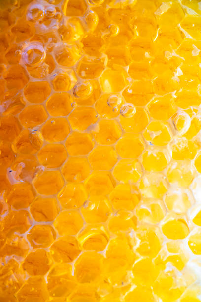 istock honey in honeycomb close-up background 1134003021