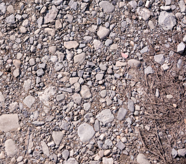 istock Dirt and dusty road with small stones 1134005309