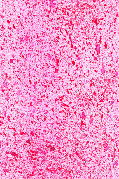 istock red pink ink watercolor blots on white background 1134005584