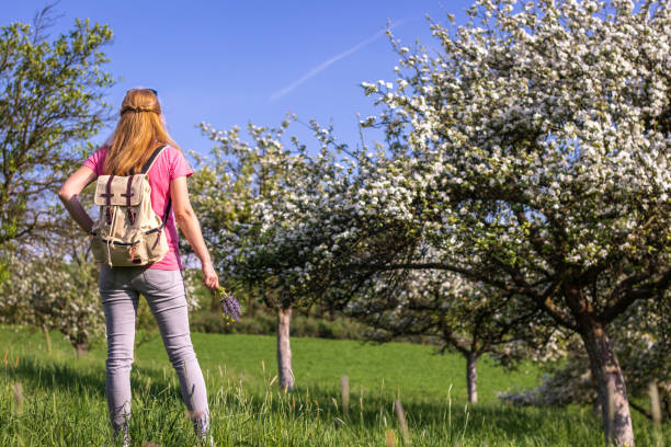 istock Hiking woman with backpack standing in blooming orchard at springtime. 1134007261