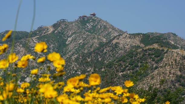 hiking,sky,sea,peak,flower natural 遠足 stock pictures, royalty-free photos & images