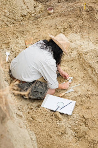 istock High Angle View Of Man Doing Research On Sand 1134012590