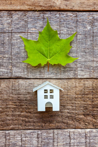 istock Toy House and green maple leaf on wooden background 1134020382