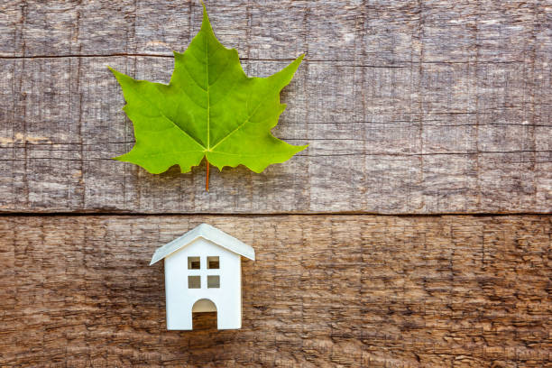 istock Toy House and green maple leaf on wooden background 1134020412