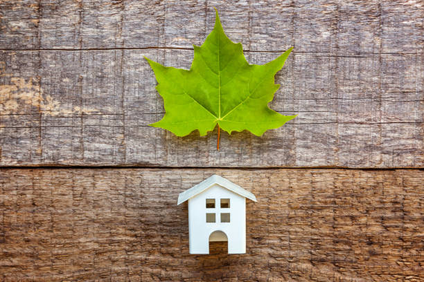 istock Toy House and green maple leaf on wooden background 1134020431