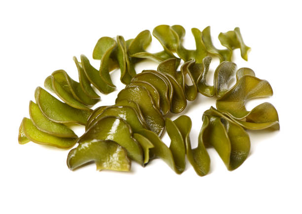 istock japanese seaweed, mekabu, wakame root on white background 1134024230