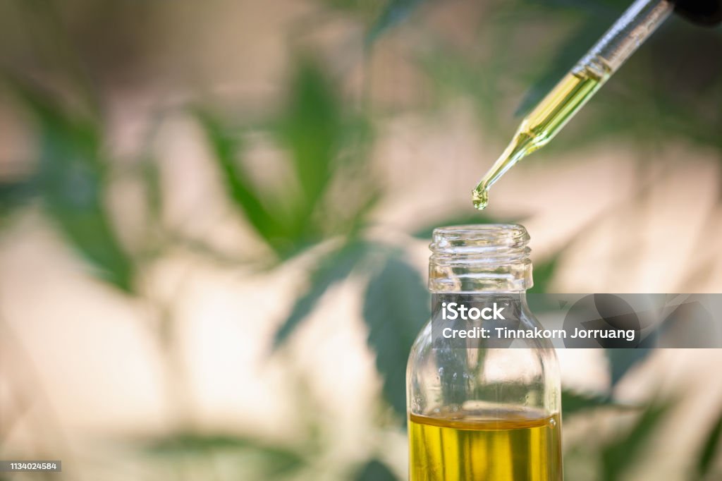 Huile de chanvre, produits de marijuana médicale, y compris la feuille de cannabis, CBD et huile de hachage, médecine alternative - Photo de Huiles et essences essentielles libre de droits