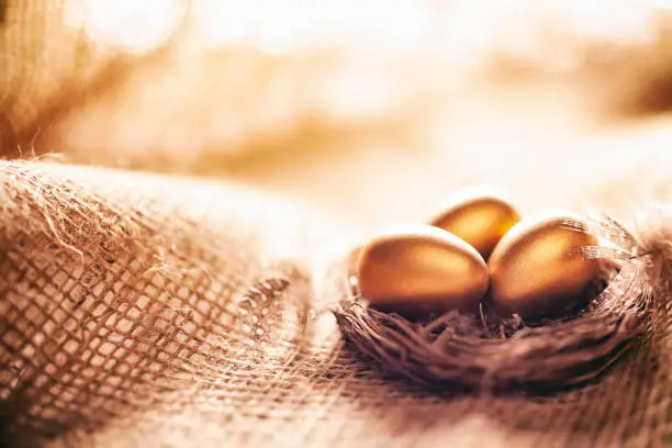 Photo of Easter decoration with golden eggs in nest and feathers on jute fabric