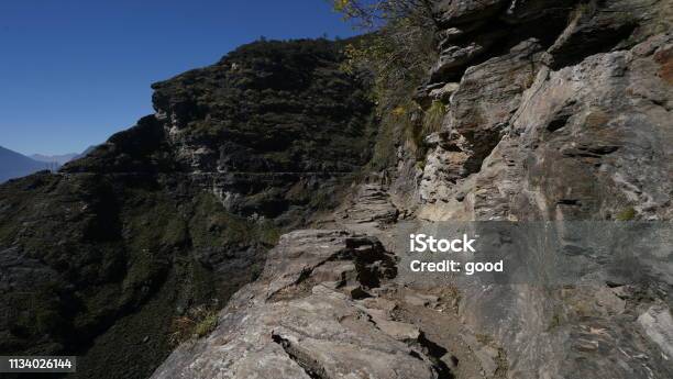 Canyonrivertreegoat Stock Photo - Download Image Now - Autumn, Beauty, Beauty In Nature