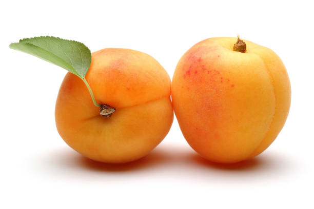 Fresh apricot fruits with leaf isolated on white background