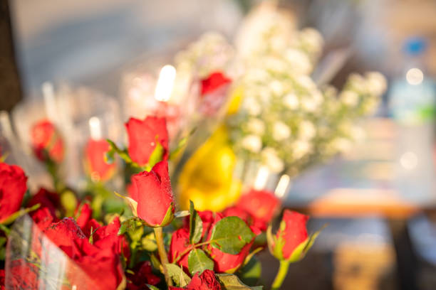 rose flower background