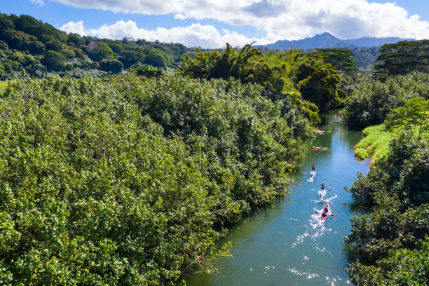 Paddle board and kayak in Kauai, Hawaii.