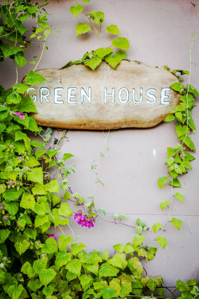 istock Green House sign 1134034908