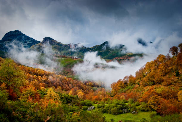 The side of Guermantes Redes Natural Park lluvia stock pictures, royalty-free photos & images