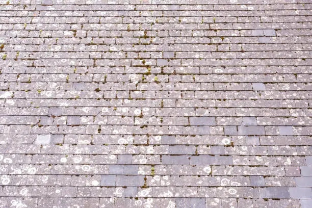 Old weathered dirty grey roof shingles as a background