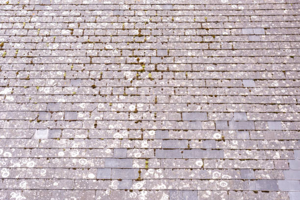 old weathered dirty grey roof shingles - konstruktion imagens e fotografias de stock