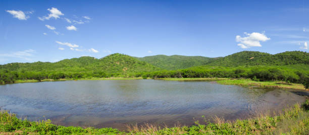 Panorama of lake at the foot of the mountain Panorama of lake at the foot of the mountain with background of green forest in northeastern Brazil summer flower lake awe stock pictures, royalty-free photos & images