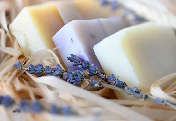 Photo of Handmade Soap with dried lavender