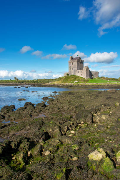 château de dunguaire - kinvara photos et images de collection