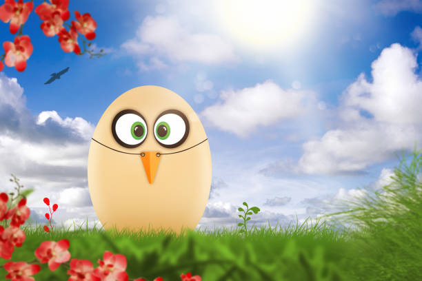 Cute little Easter egg dressed as chicken in the garden
