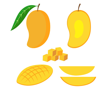 Vector illustration of set fresh mango isolated on white background