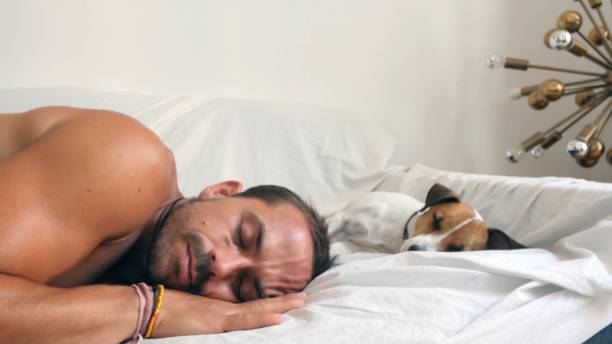 istock Man Chilling at home at a sofa with their dog. 1134043730