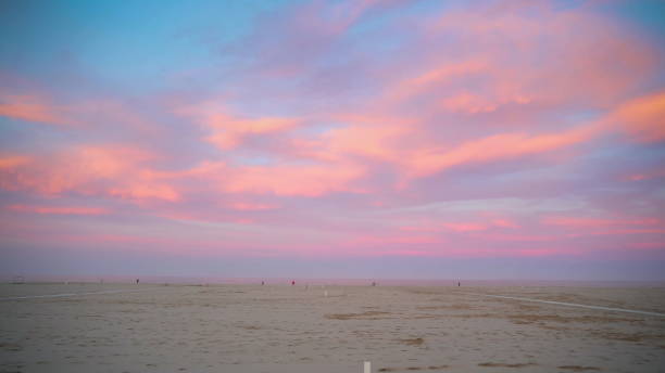 el fene marrón en la orilla de la playa en rimini italia en una tarde en italia - out of season fotografías e imágenes de stock
