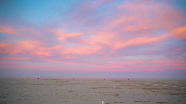 o fene marrom no costa da praia em rimini italy em uma tarde em italy - out of season - fotografias e filmes do acervo