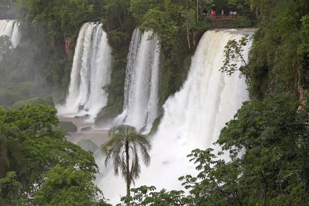 istock Iguazu Falls in the Argentine side 1134048840