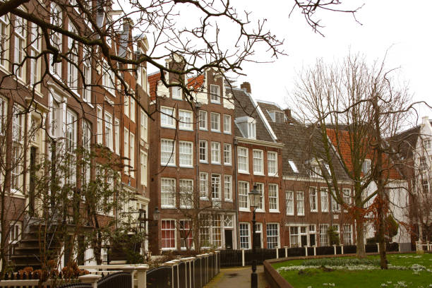 istock neighborhood in amsterdam 1134049639