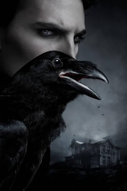 Spooky portrait of a man with raven Portrait of vampire and black raven on mistery background vampire photos stock pictures, royalty-free photos & images