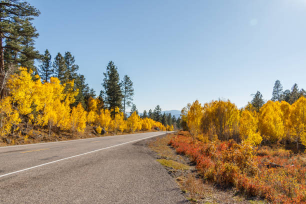 couleurs d'automne brillantes scenic byway 12 dans l'utah est l'une des routes les plus pittoresques dans le monde - natural landmark autumn canyon cliff photos et images de collection