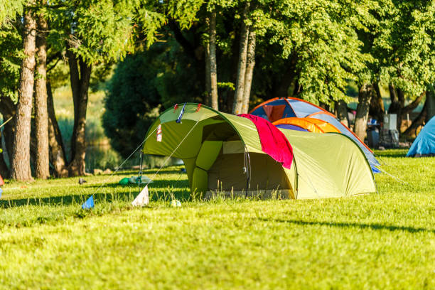 istock Tents Camping area in beautiful natural place 1134053344
